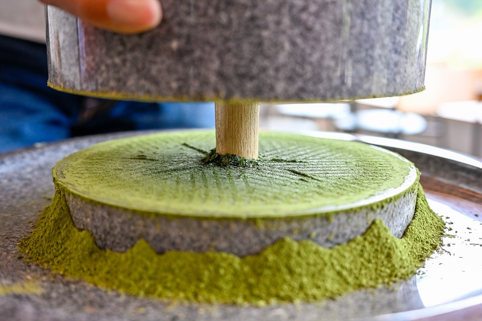 Molino de piedra moliendo tencha y convirtiéndolo en matcha