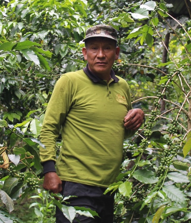 Jesús Apolinario Oscco Bravo